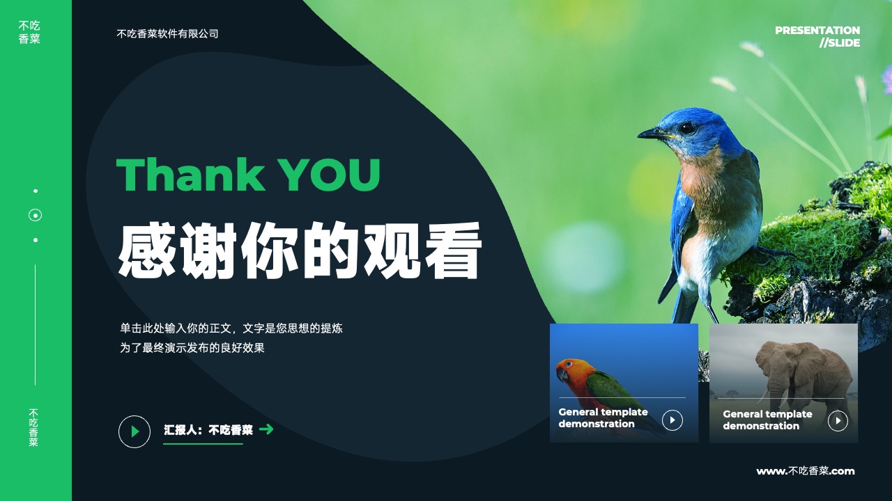 PPT模板  深色自然元素通用演示PPT模板免费下载