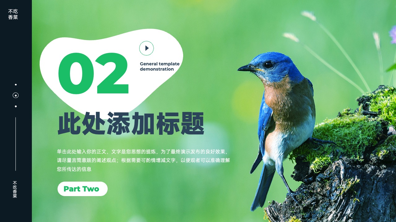 PPT模板  深色自然元素通用演示PPT模板免费下载