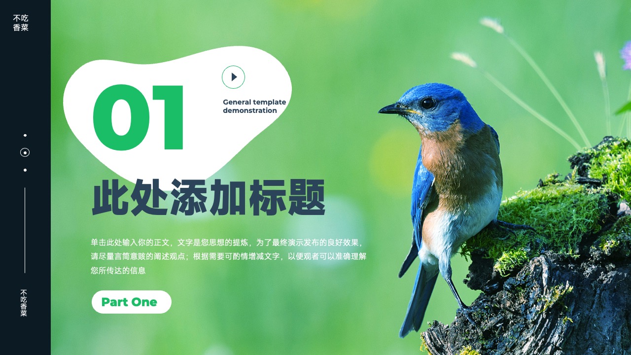 PPT模板  深色自然元素通用演示PPT模板免费下载