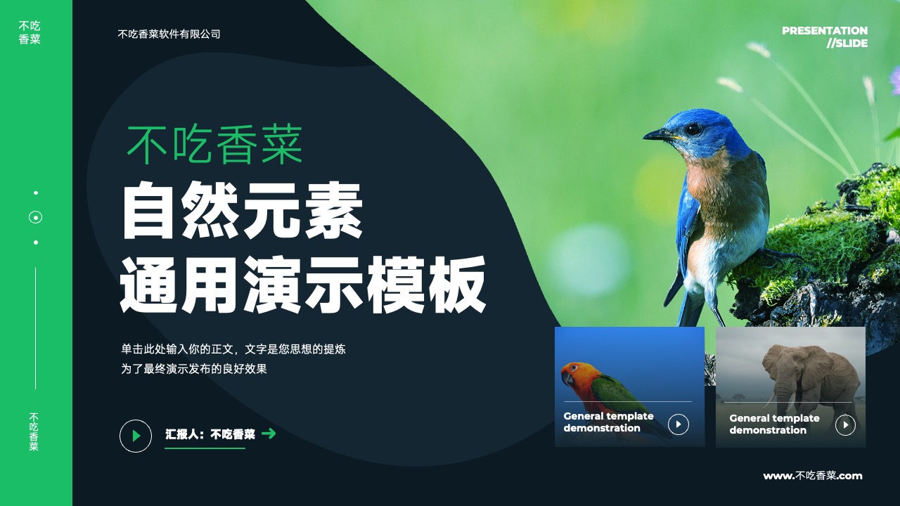 深色自然元素通用演示PPT模板免费下载