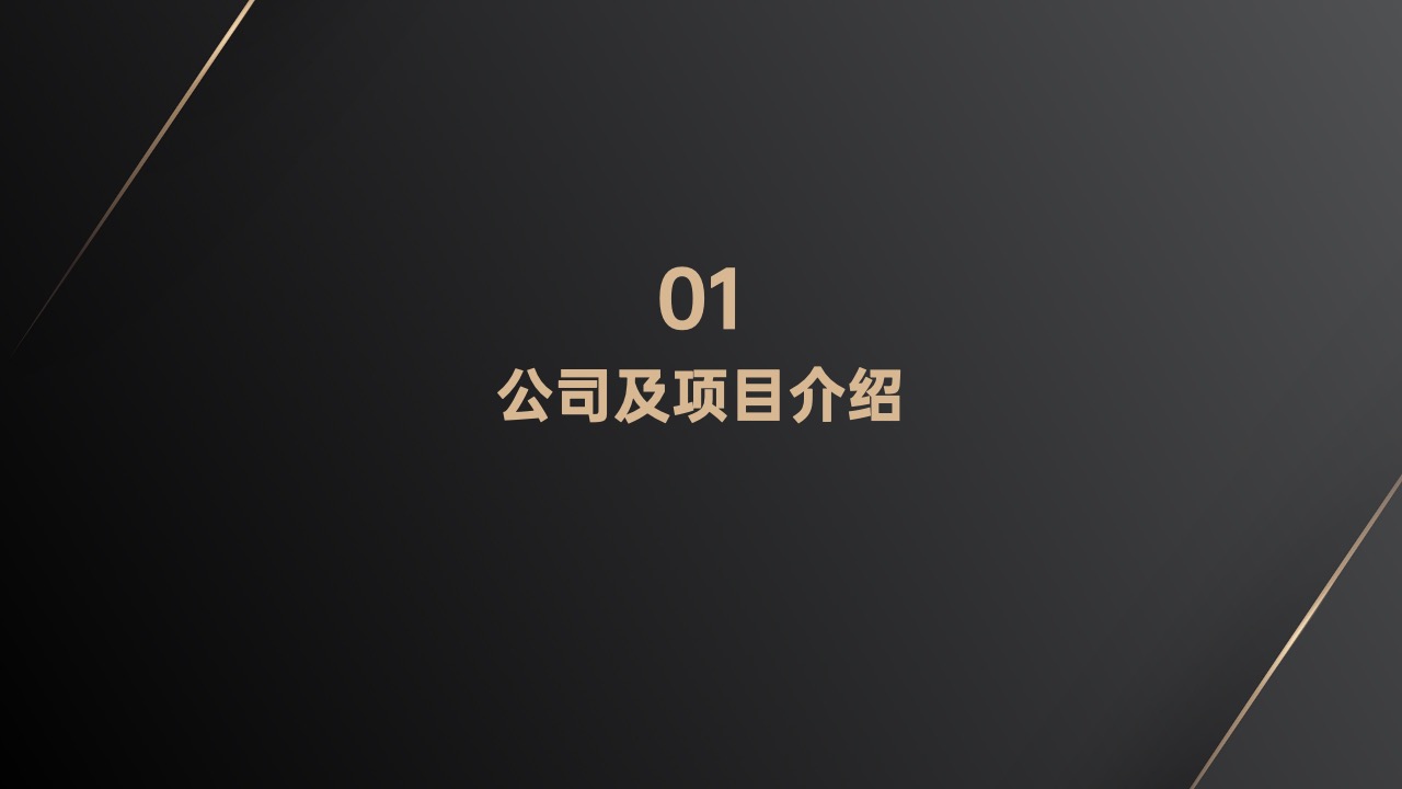 PPT模板  黑金质感商业计划书PPT模板免费下载
