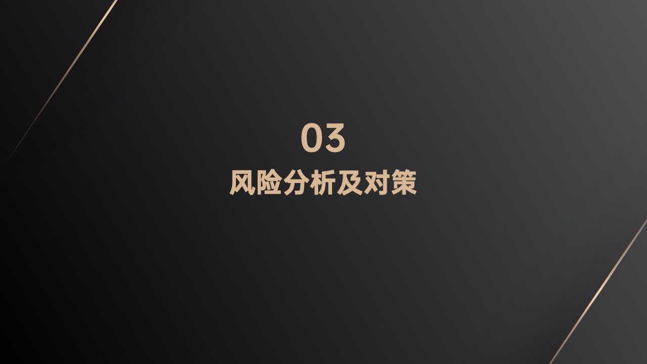 PPT模板  黑金质感商业计划书PPT模板免费下载