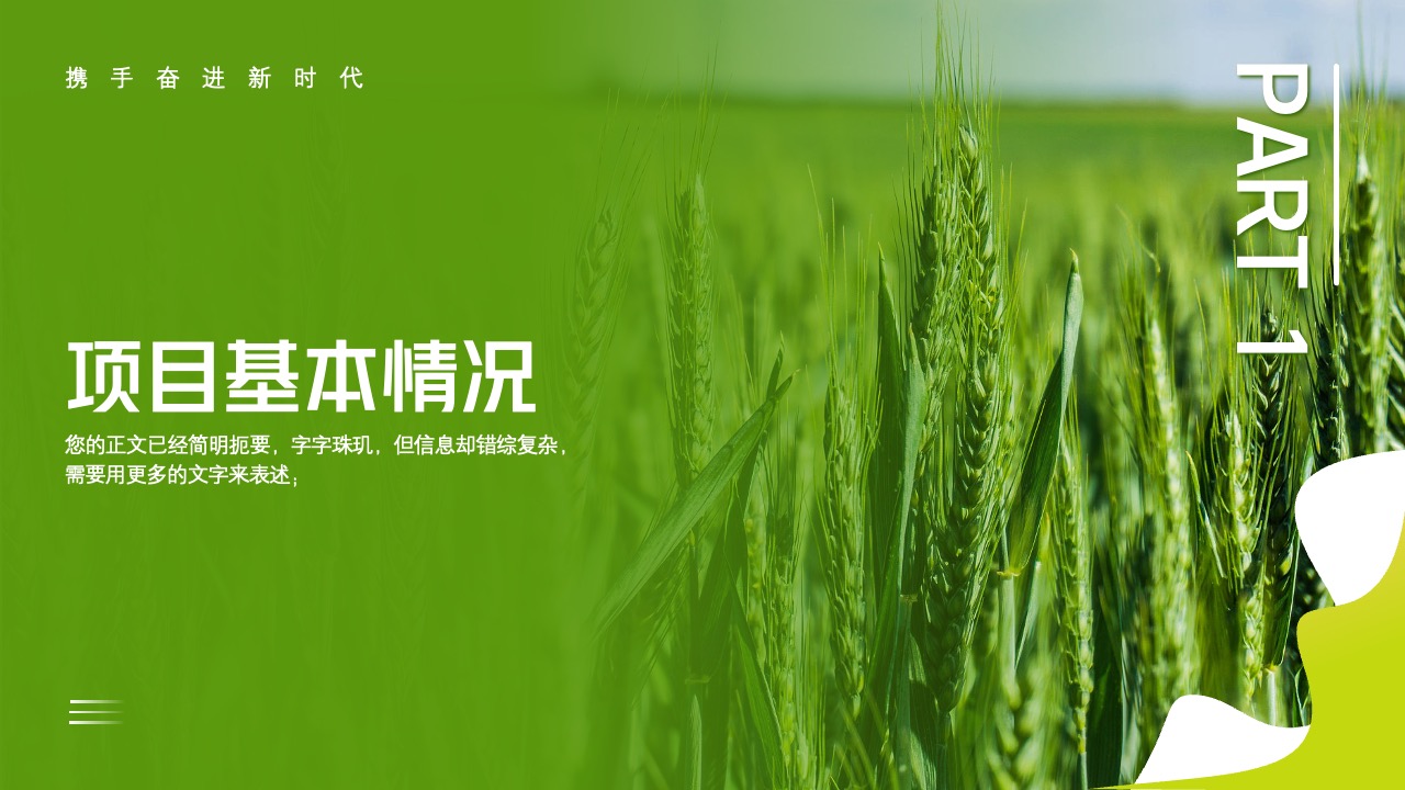 PPT模板  全面推进乡村振兴项目工作汇报PPT模板免费下载