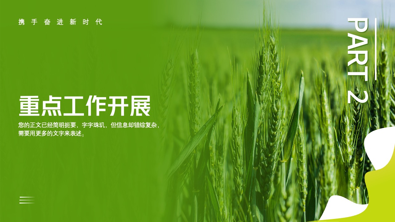 PPT模板  全面推进乡村振兴项目工作汇报PPT模板免费下载