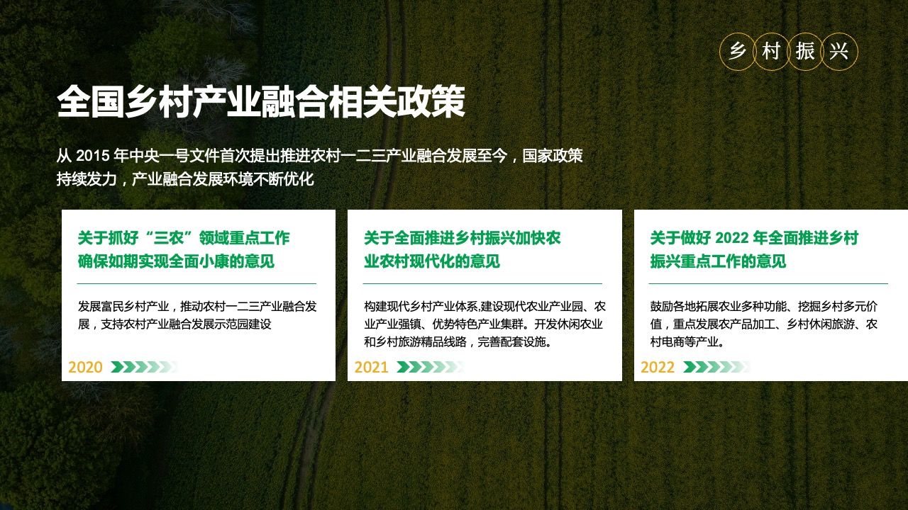 PPT模板  32页乡村振兴农业农村规划计划书PPT模板免费下载