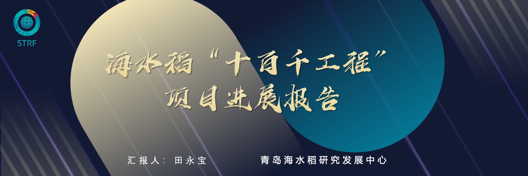 PPT宽屏  海水稻“十百千工程”项目进展报告PPT模板免费下载