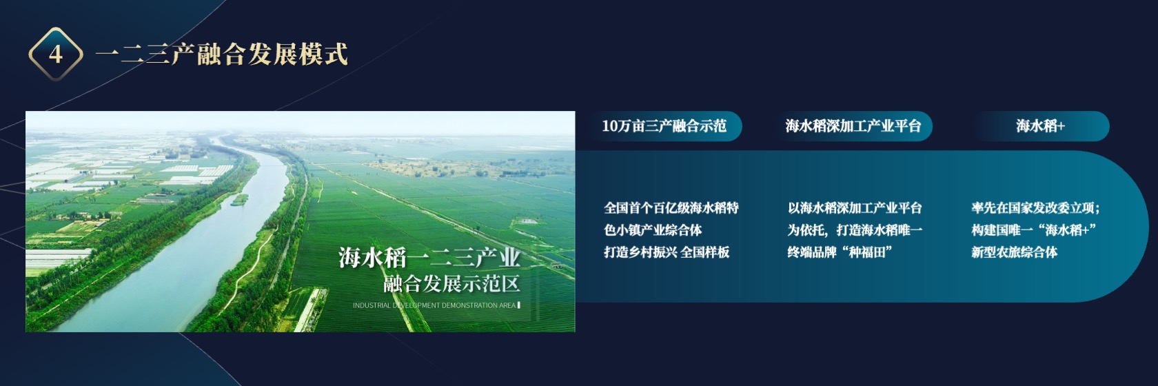 PPT宽屏  海水稻“十百千工程”项目进展报告PPT模板免费下载