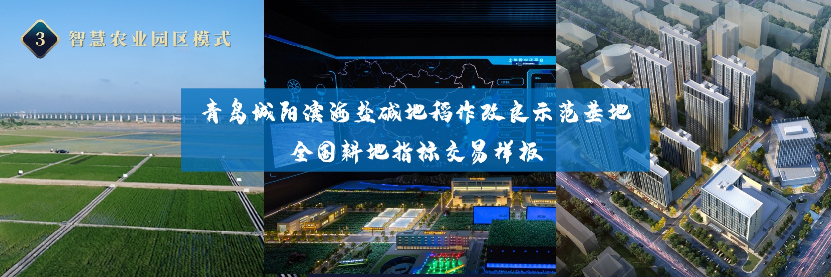 PPT宽屏  海水稻“十百千工程”项目进展报告PPT模板免费下载