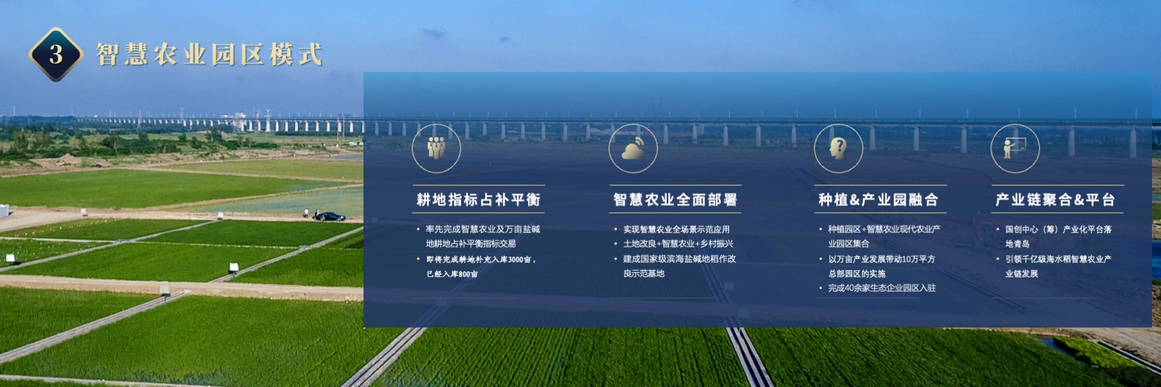 PPT宽屏  海水稻“十百千工程”项目进展报告PPT模板免费下载