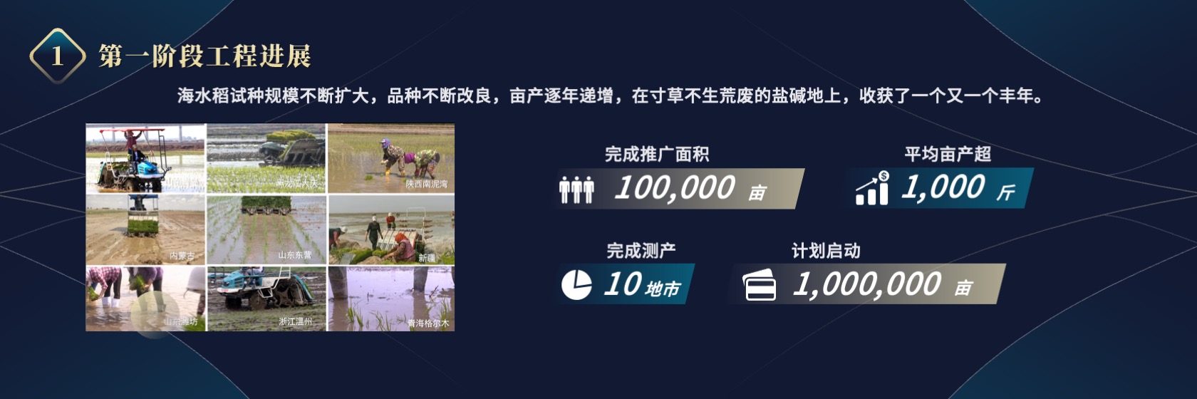 PPT宽屏  海水稻“十百千工程”项目进展报告PPT模板免费下载