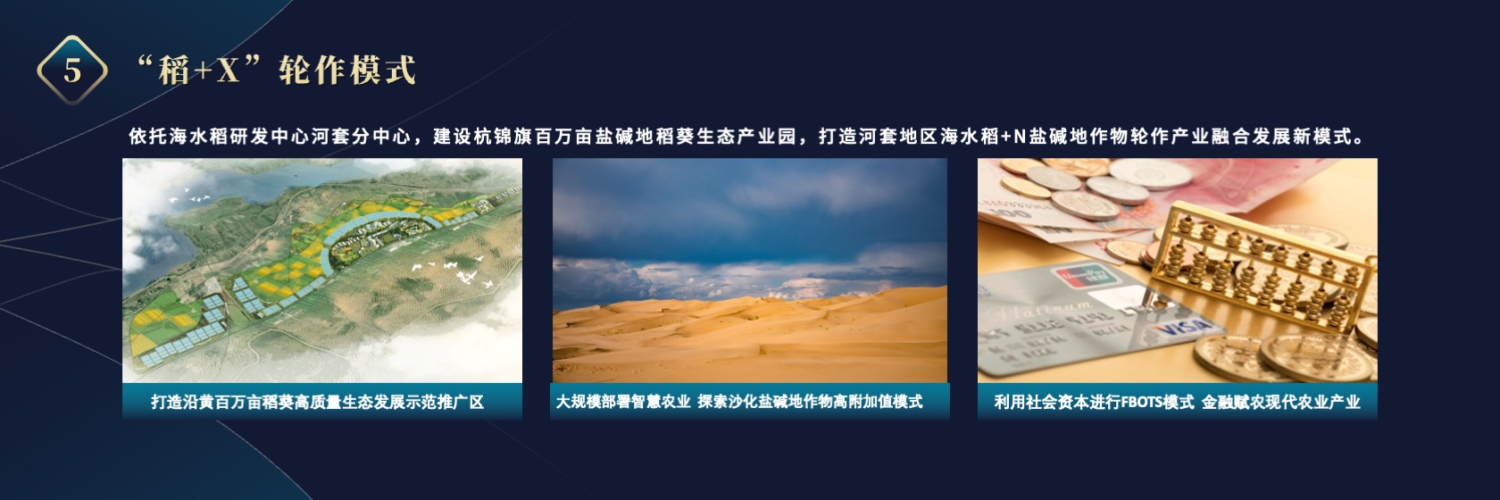 PPT宽屏  海水稻“十百千工程”项目进展报告PPT模板免费下载