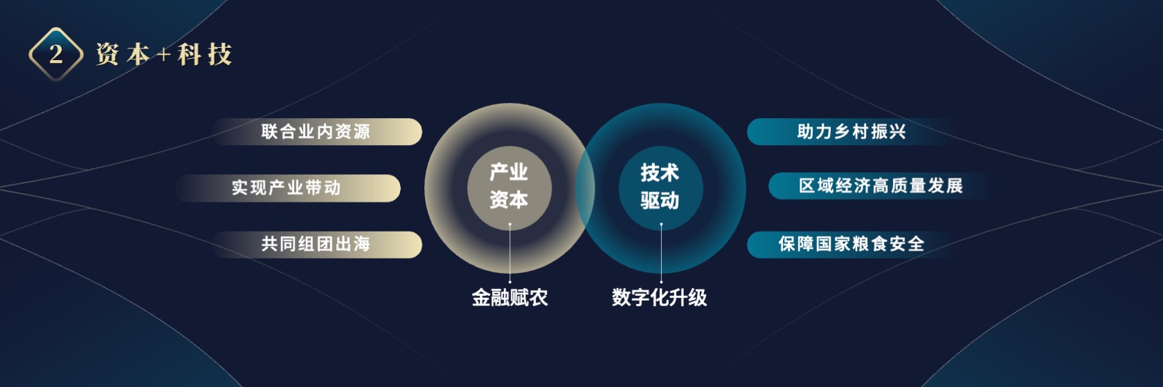 PPT宽屏  海水稻“十百千工程”项目进展报告PPT模板免费下载