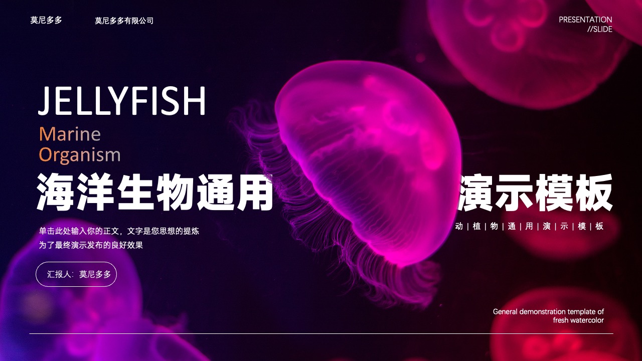 莫尼多多海洋生物PPT模板免费下载