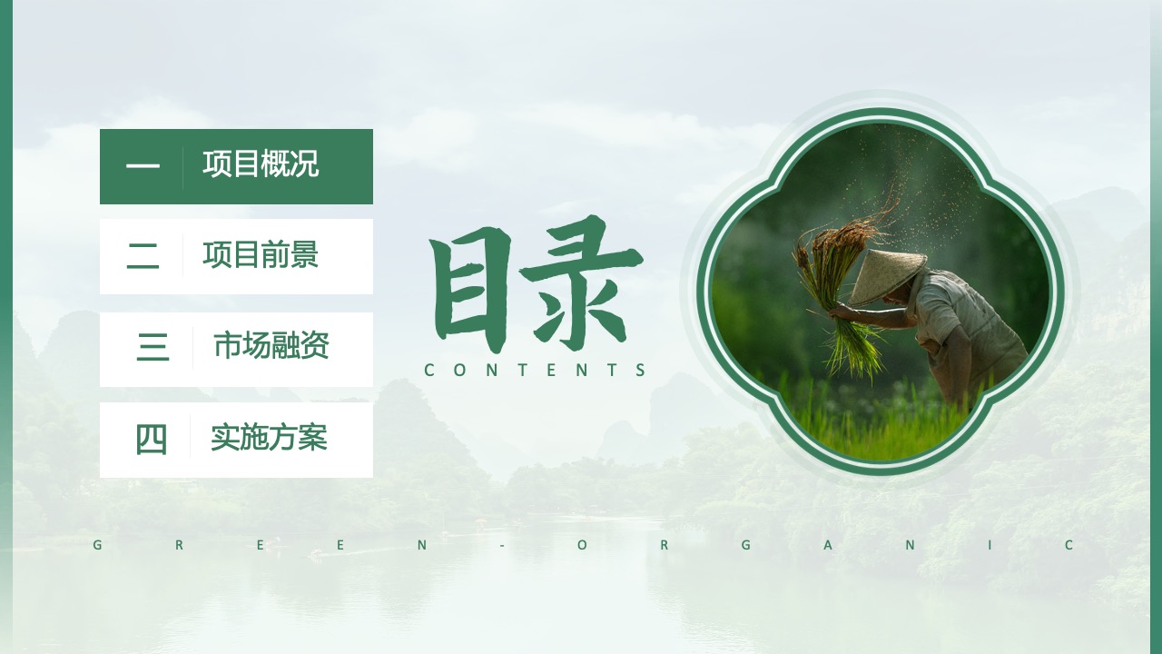 项目概况与融资方案PPT模板免费下载