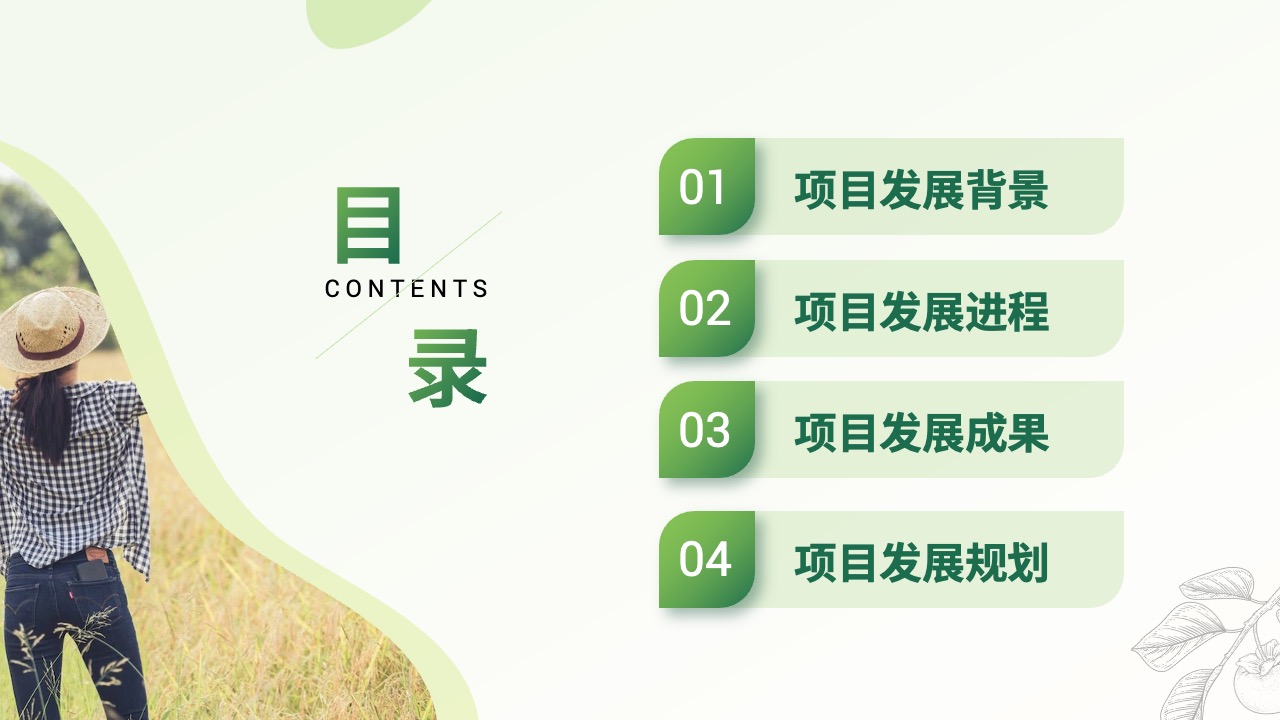 项目发展PPT模板免费下载
