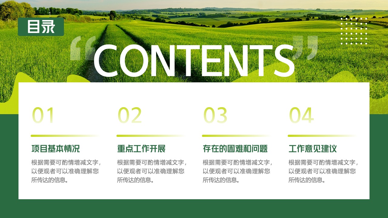 项目情况与工作建议PPT模板免费下载