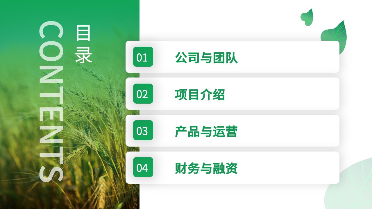 公司项目与产品运营目录PPT模板免费下载