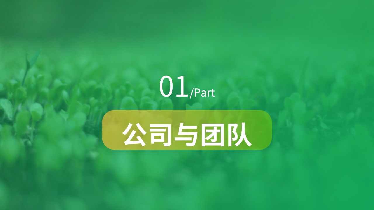 公司与团队PPT模板免费下载
