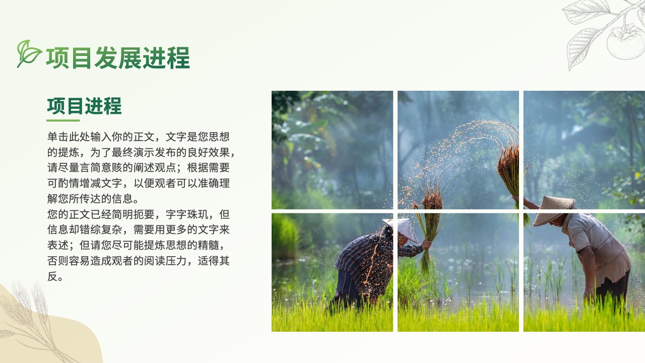 项目发展进程：思想与行动的融合PPT模板免费下载