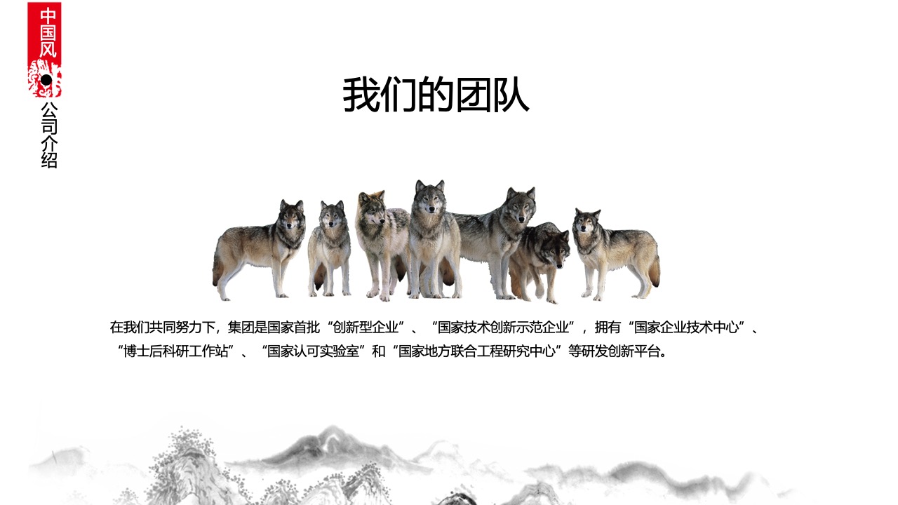 营销策略与项目工作经验总结PPT模板免费下载