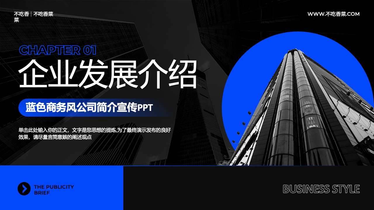 企业发展介绍：蓝色商务风公司简介PPT模板免费下载