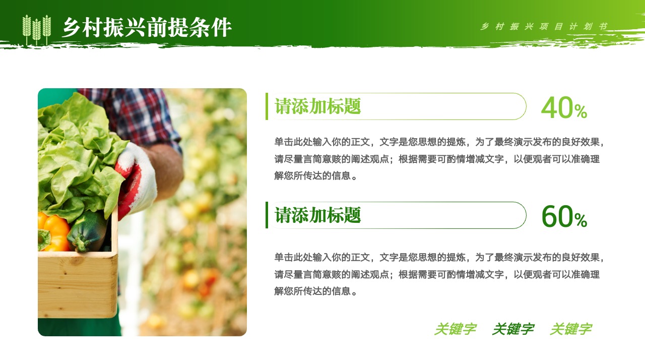 乡村振兴项目计划书概览PPT模板免费下载