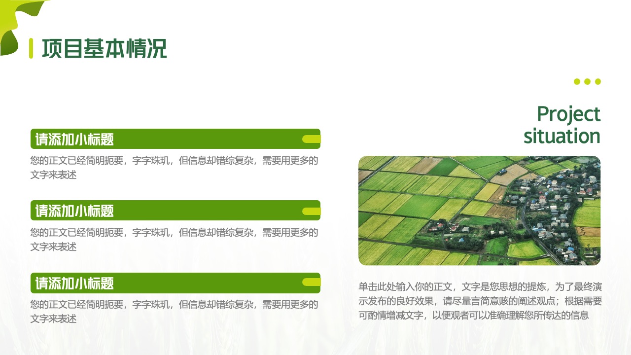 项目基本情况的详细阐述PPT模板免费下载