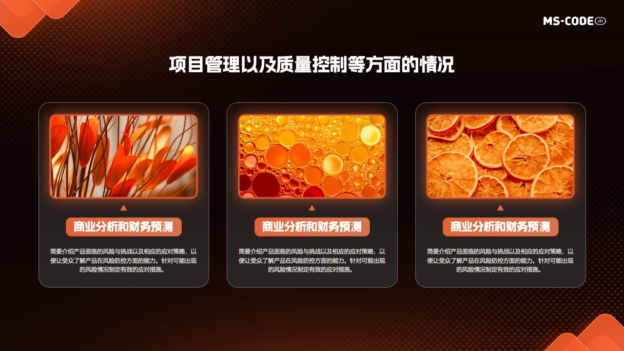 MS-CODER：商业分析与财务预测的策略PPT模板免费下载