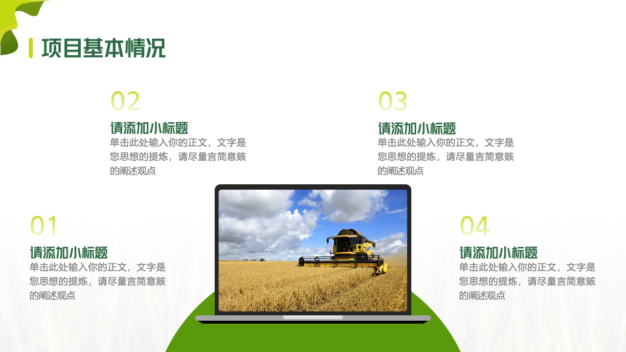 项目基本情况：全面解析与展望PPT模板免费下载