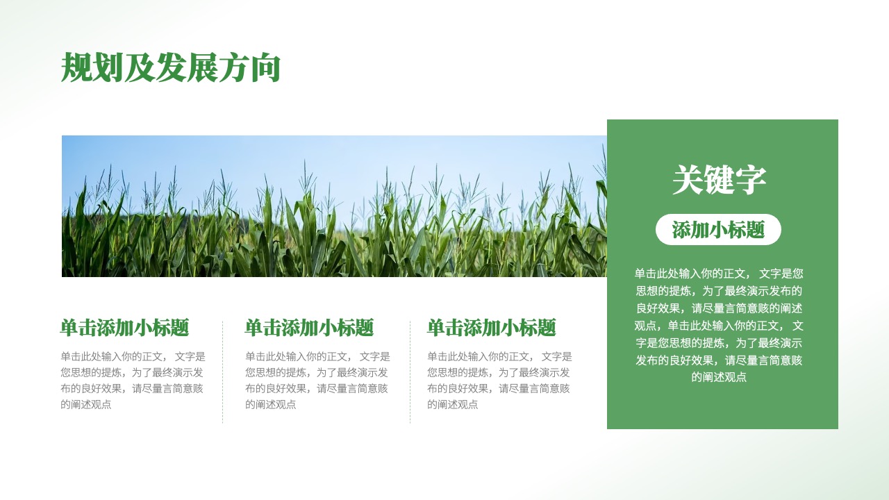 规划及发展方向关键词PPT模板免费下载