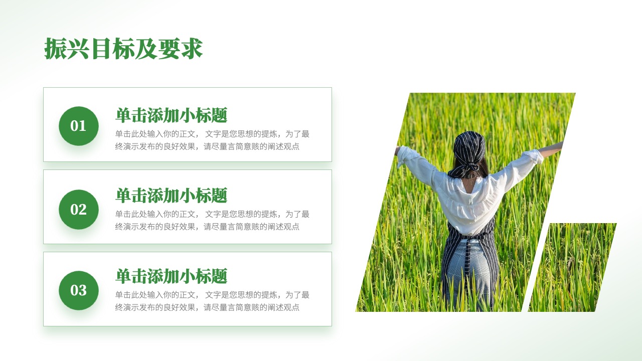 振兴目标及要求分点阐述PPT模板免费下载