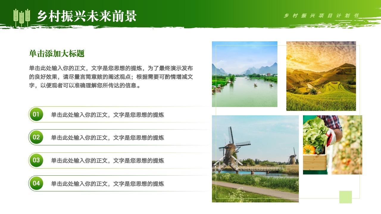 乡村振兴：项目计划与思想提炼PPT模板免费下载