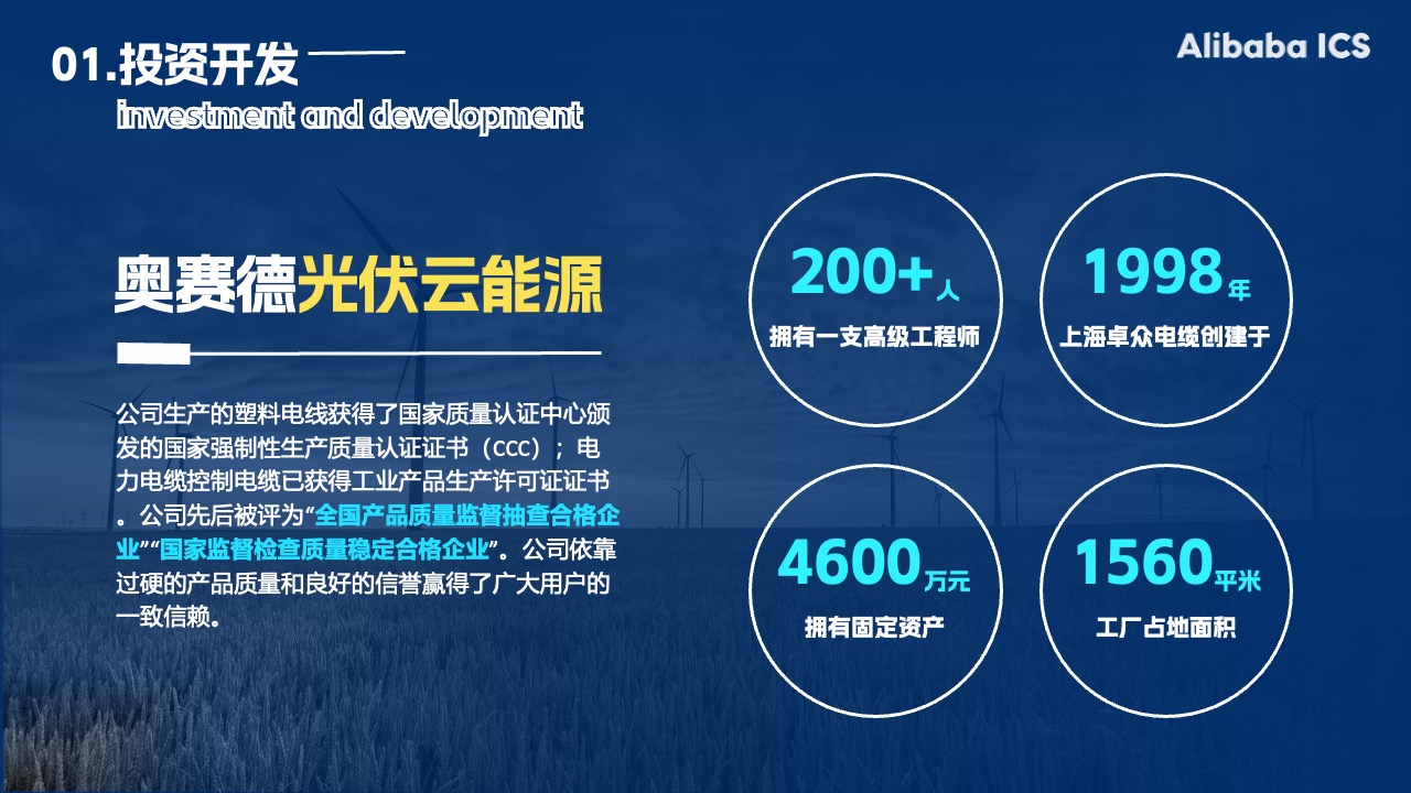 阿里巴巴投资开发与企业认证PPT模板免费下载