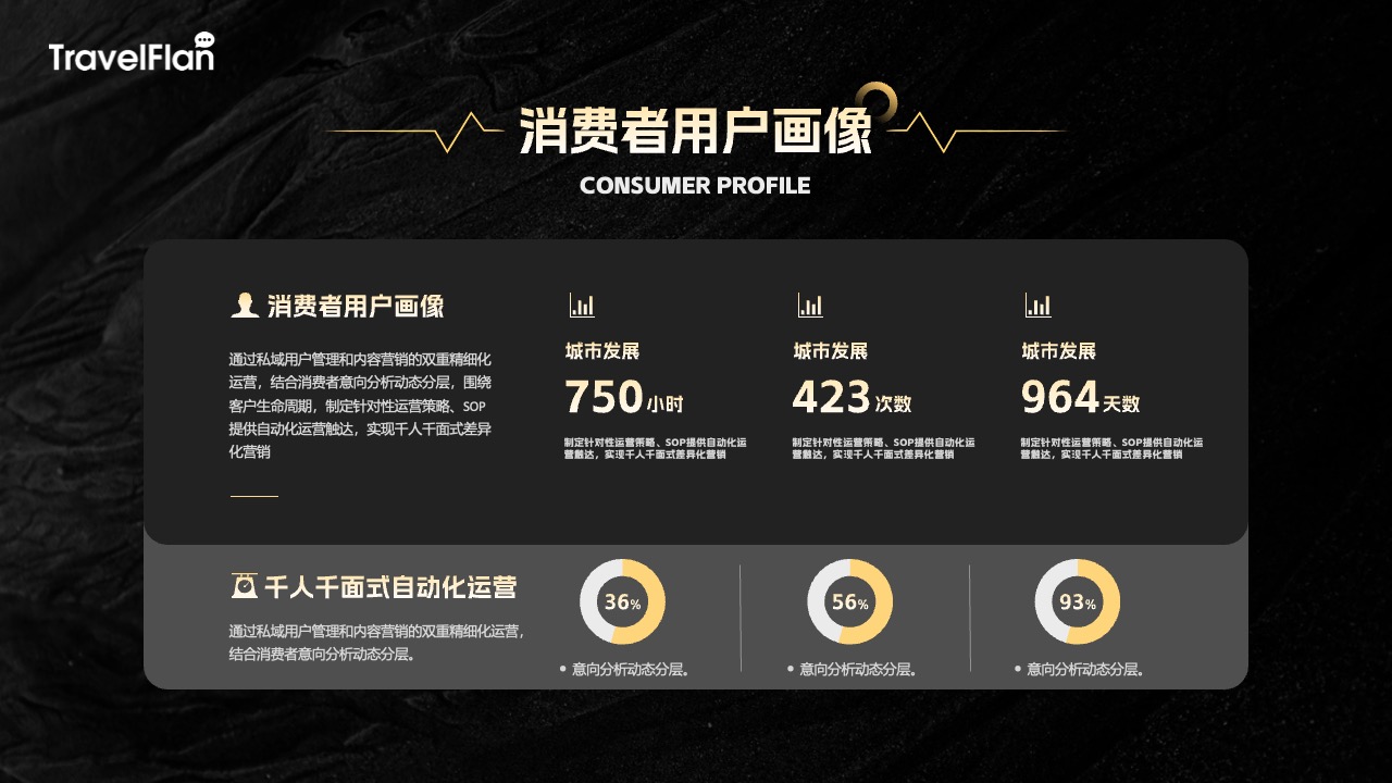 转化率提升策略PPT模板免费下载
