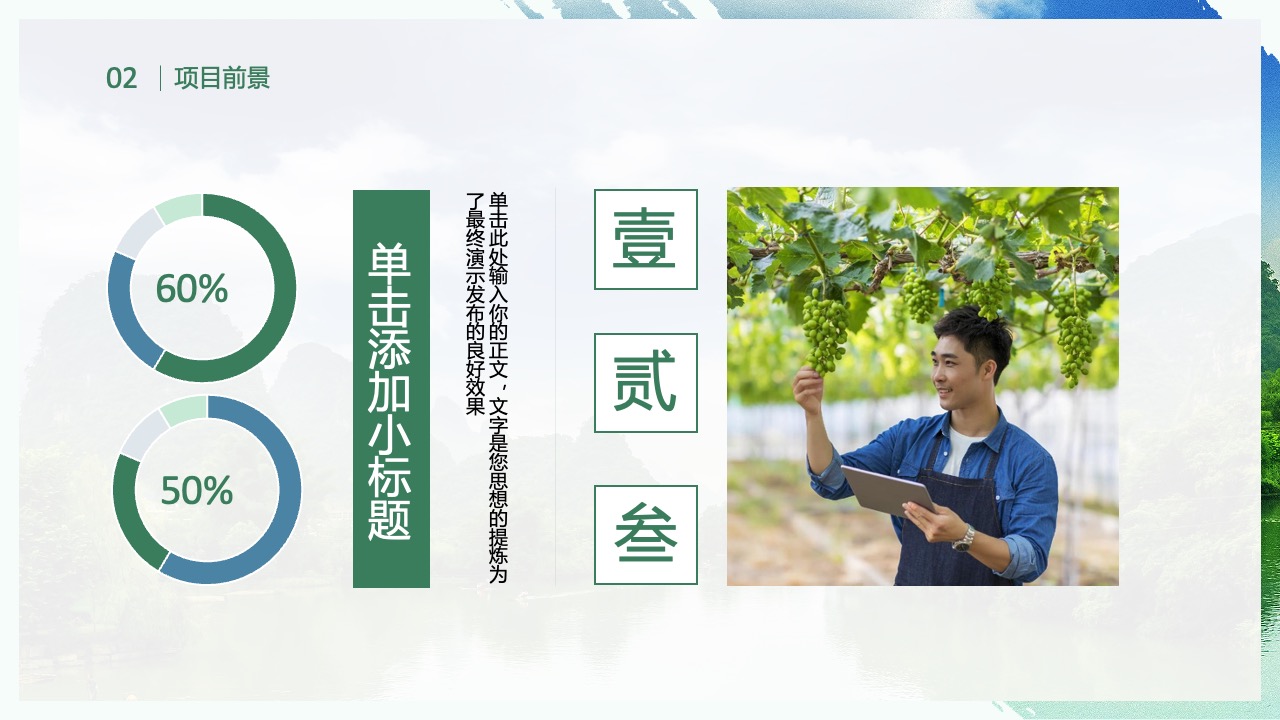 项目前景概述：百分比展示与标题添加PPT模板免费下载