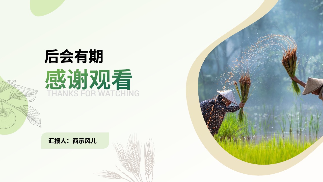 打工人感谢观看致谢页面PPT模板免费下载