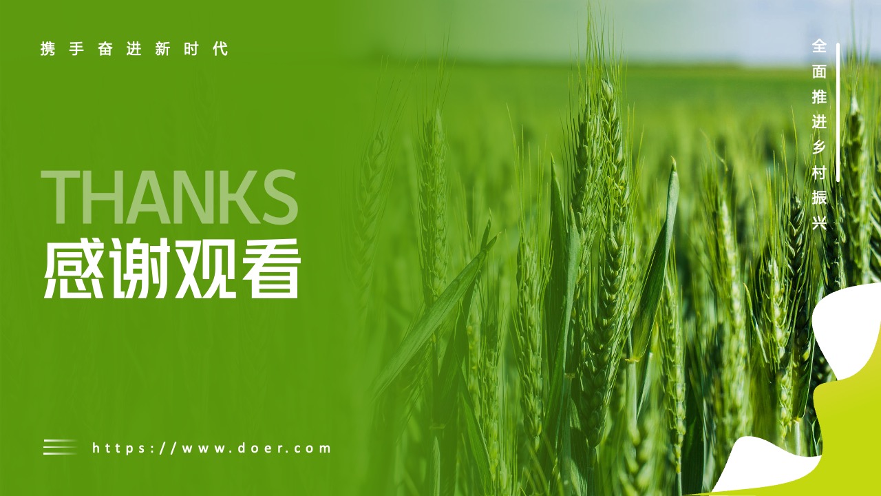 携手奋进新时代乡村振兴感谢观看页面PPT模板免费下载