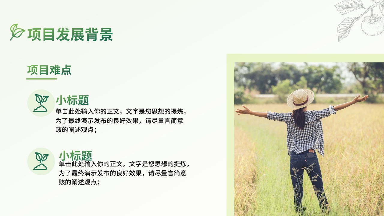 项目发展背景与难点分析PPT模板免费下载