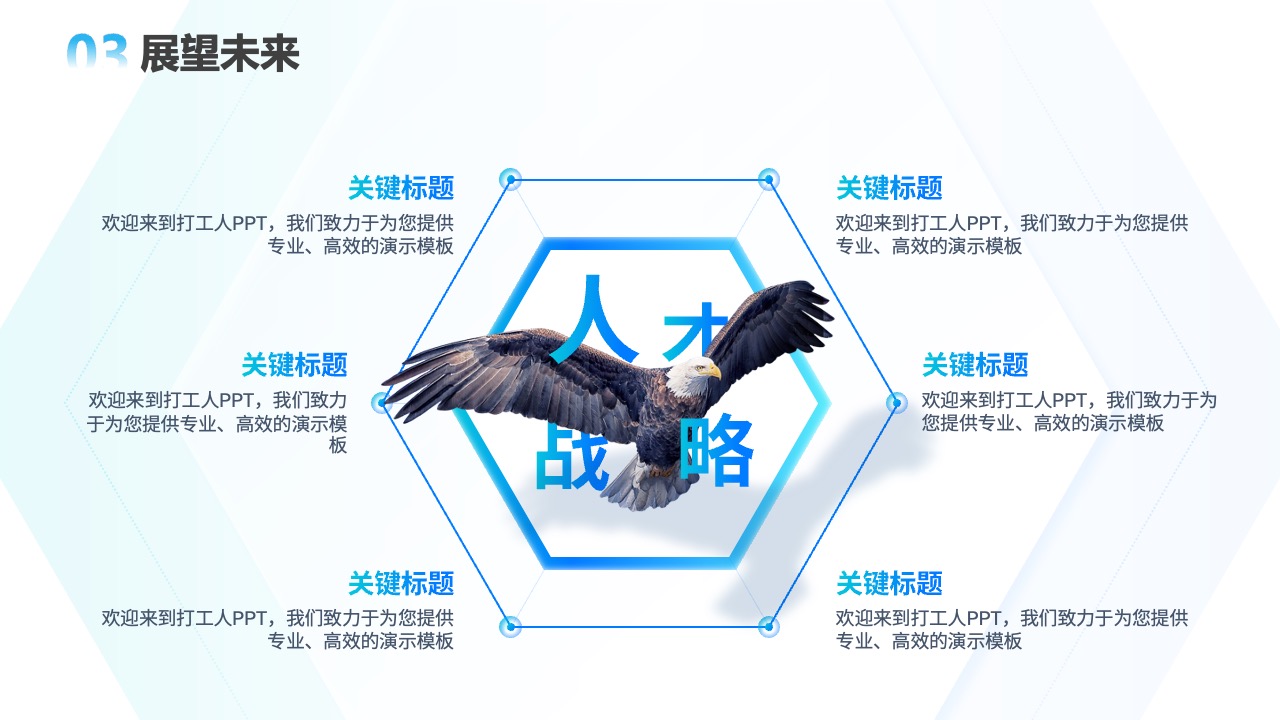 PPT模板  网络公司软件项目汇报ppt模板