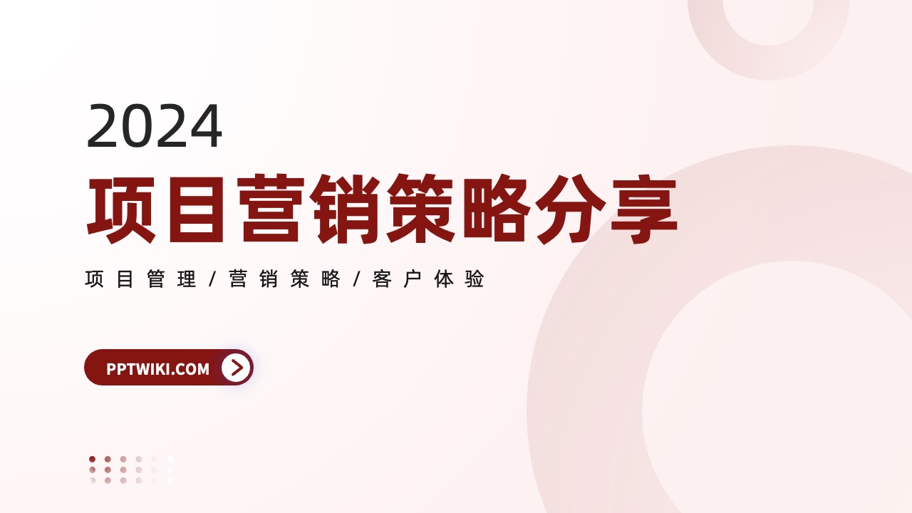 2024项目营销策略客户体验逻辑架构PPT模板免费下载
