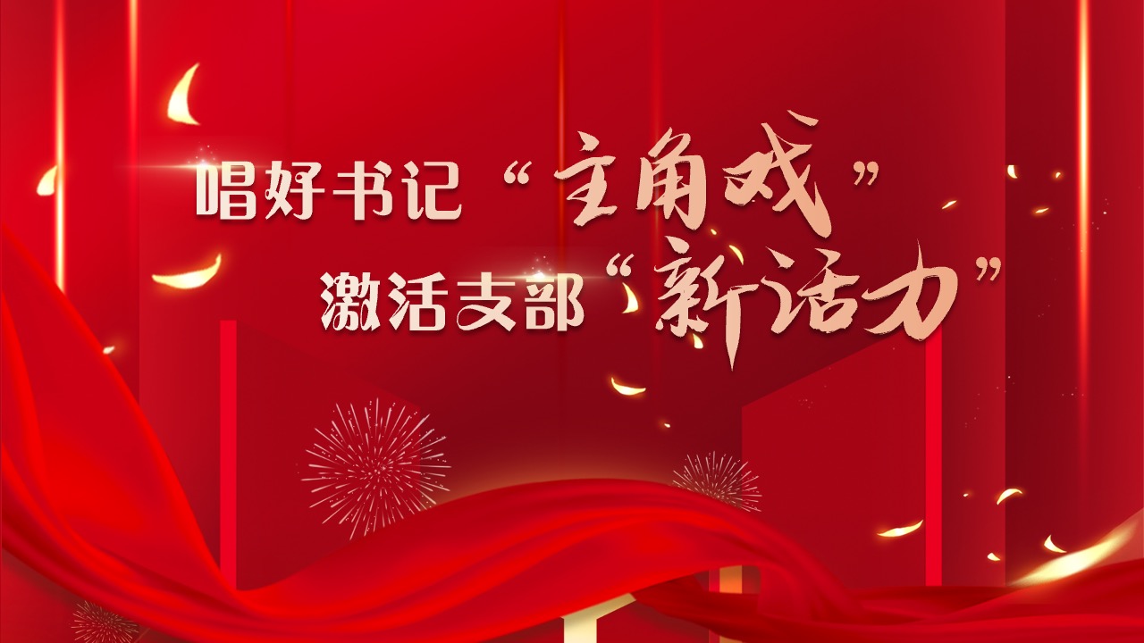 公司党委组织开展党组织书记党建述职评议PPT模板免费下载