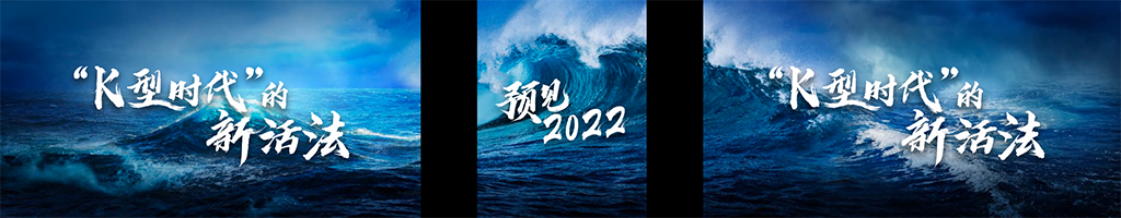 2021年吴晓波《预见2022》下半场演讲完整版PDF
