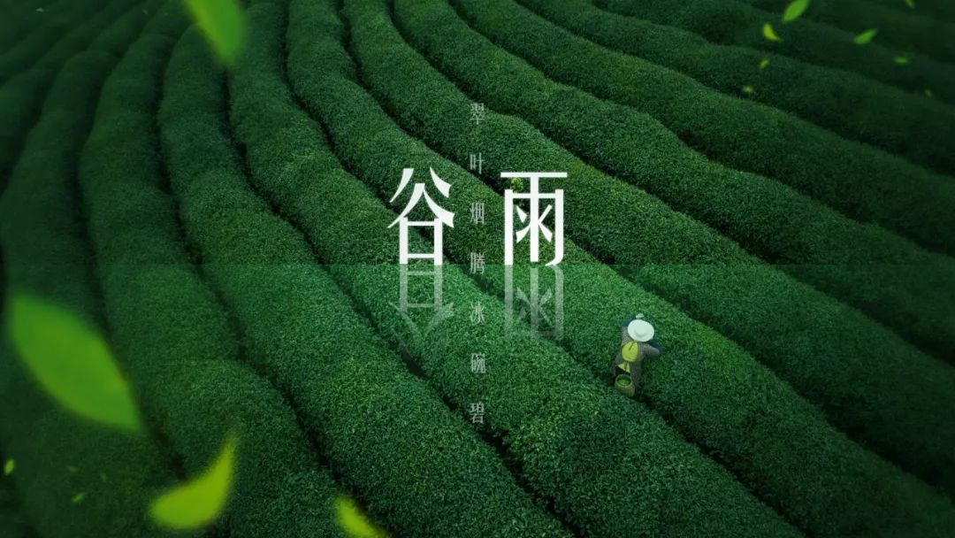 别在那笑了,你的PPT图片都用错了! PPT教程 别在那笑了,你的PPT图片都用错了!