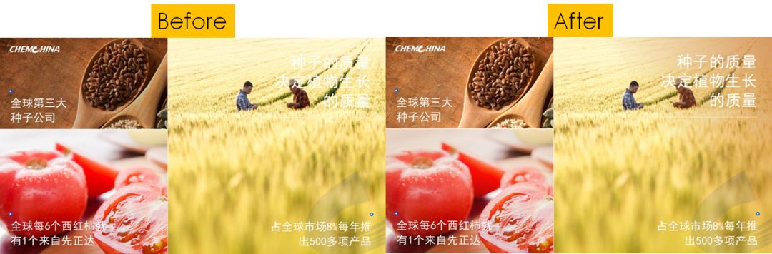PPT教程  做PPT别只考虑选图，你可能还忽略了这五个技巧~