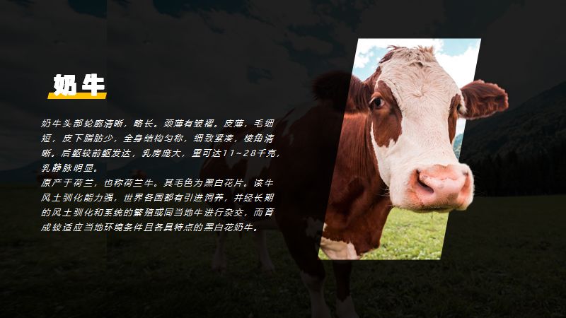 PPT教程  无论趋势怎么变，掌握了PPT蒙版，就不怕设计过时~
