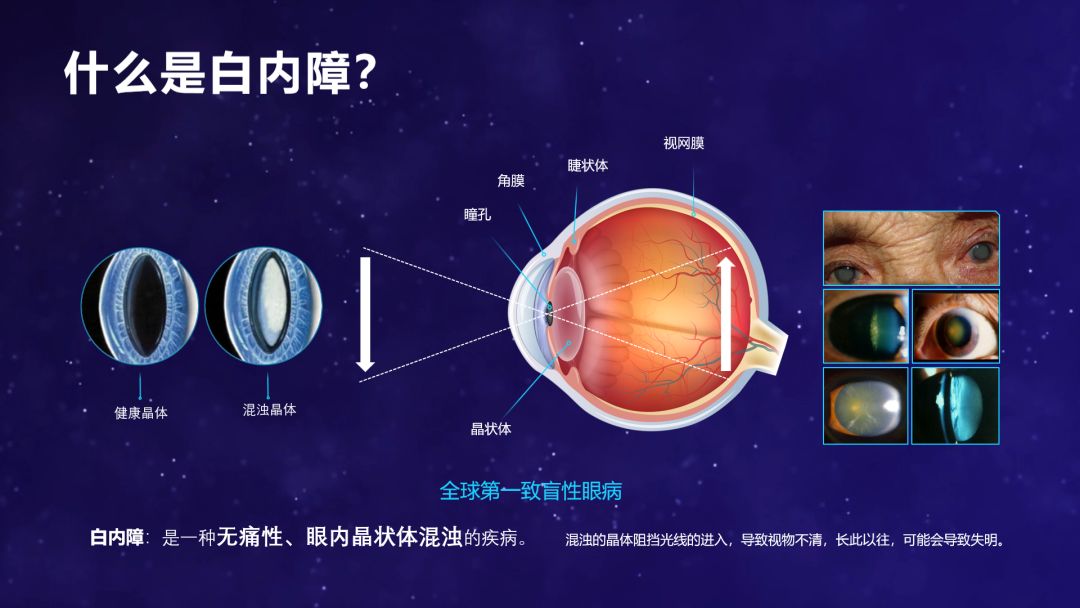 锐普2019上半年PPT案例合集,这些PPT设计必将引领潮流~ PPT教程 锐普2019上半年PPT案例合集,这些PPT设计必将引领潮流~