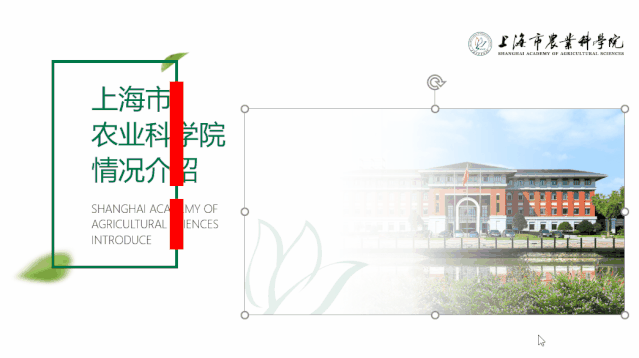 PPT教程  做了上千份PPT，我总结出了让PPT更有设计感的秘密——破！