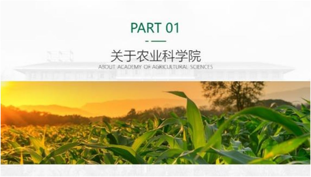PPT如何做出高级感?用锐普定制实战案例解密~ PPT教程 PPT如何做出高级感?用锐普定制实战案例解密~