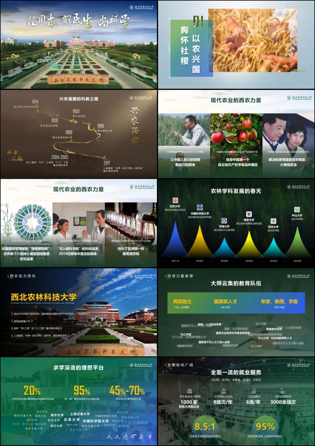 现在学校招生宣传PPT都做的这么好看啦! PPT教程 现在学校招生宣传PPT都做的这么好看啦!