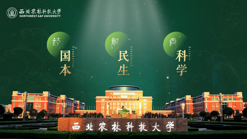 现在学校招生宣传PPT都做的这么好看啦! PPT教程 现在学校招生宣传PPT都做的这么好看啦!